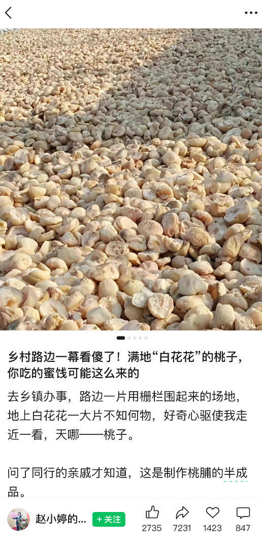 公众号小绿书贴图项目,赚收益实操玩法,听话照听话照少走90%弯路丨副业可做