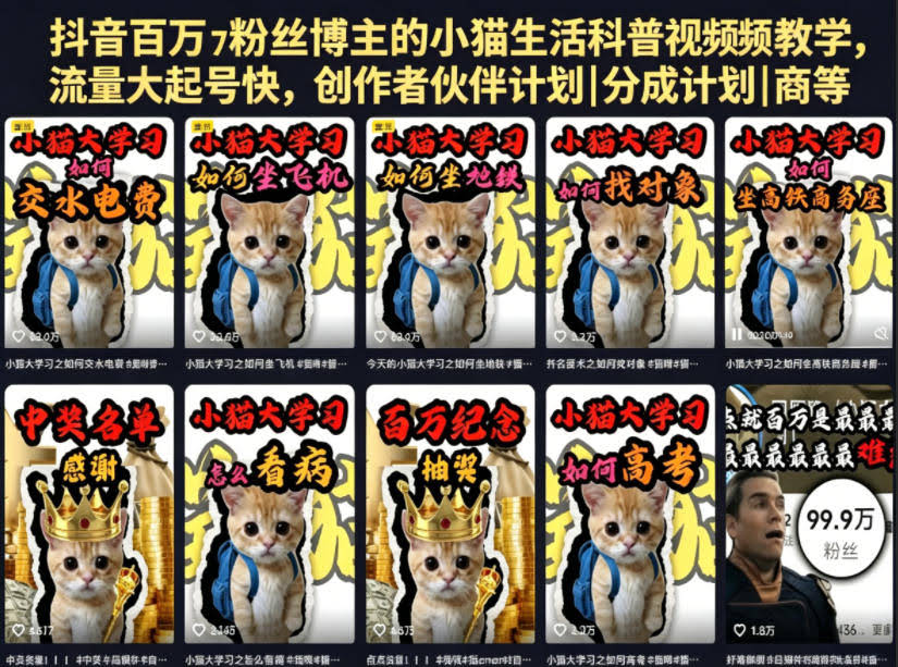 抖音百万粉丝博主的小猫生活科普视频教学,流量大起号快,创作者伙伴计划|分成计划|商单|收徒等