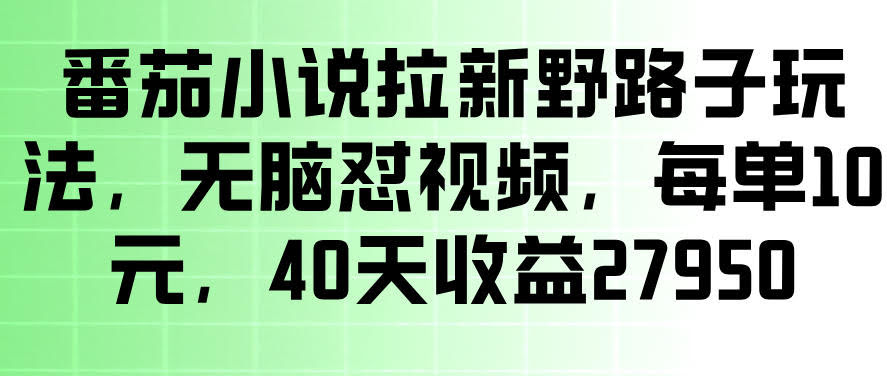 番茄小说拉新野路子玩法,无脑怼视频,玩法简单、见效快,每单10米,40天收益27950