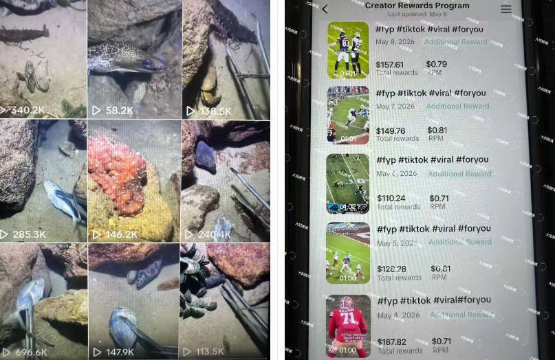 Tiktok中视频解说教程，体育+温情文案双赛道实操教程一站式带你落地，教你出海賺美刀