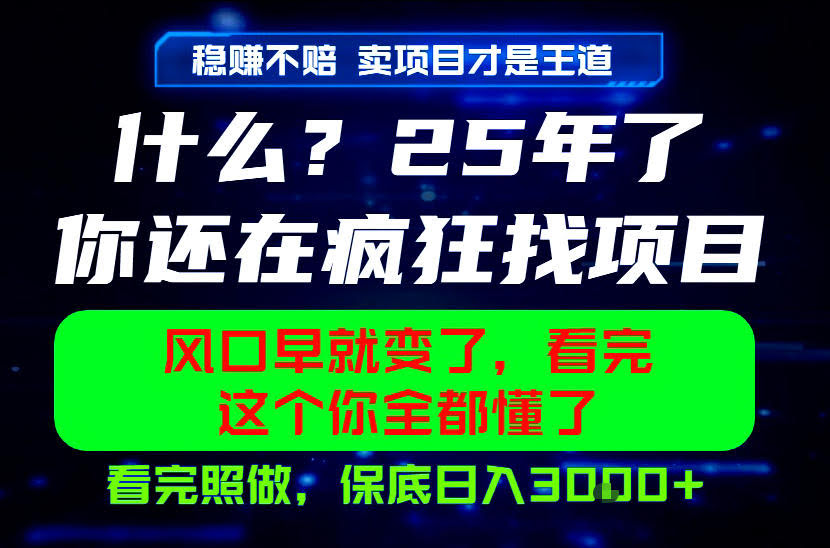 26年,请不要疯狂的找项目做了!卖项目才是真的稳賺不赔,看完照做,保底日入1k+【揭秘】