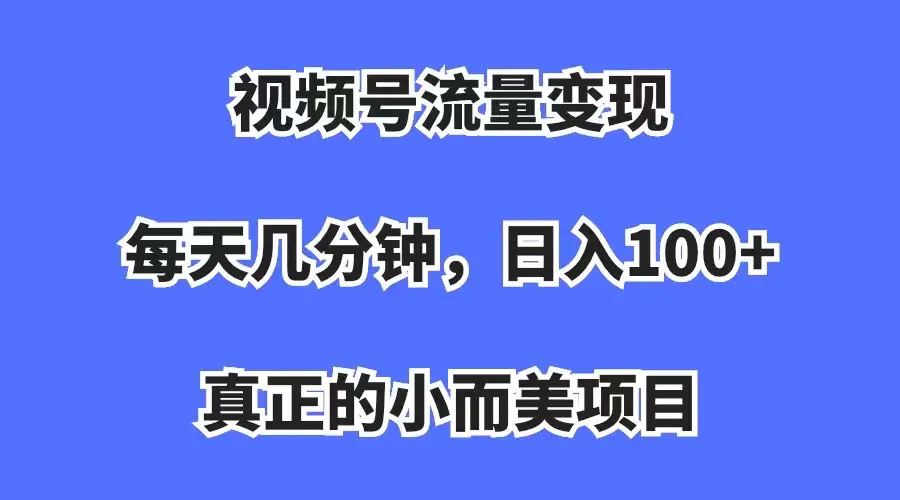 视频号流量变现，每天几分钟，收入100+，真正的小而美项目