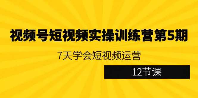 视频号短视频实操训练营第5期：7天学会短视频运营（12节课）