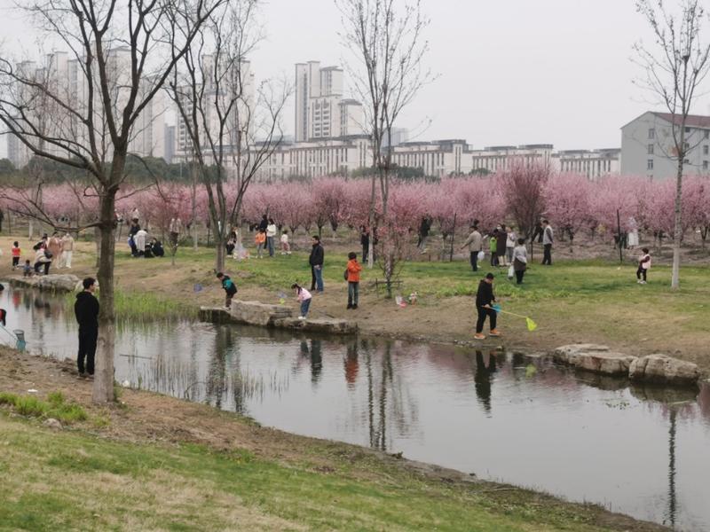 春天到了，可以组织宝妈带…#情报-航海圈