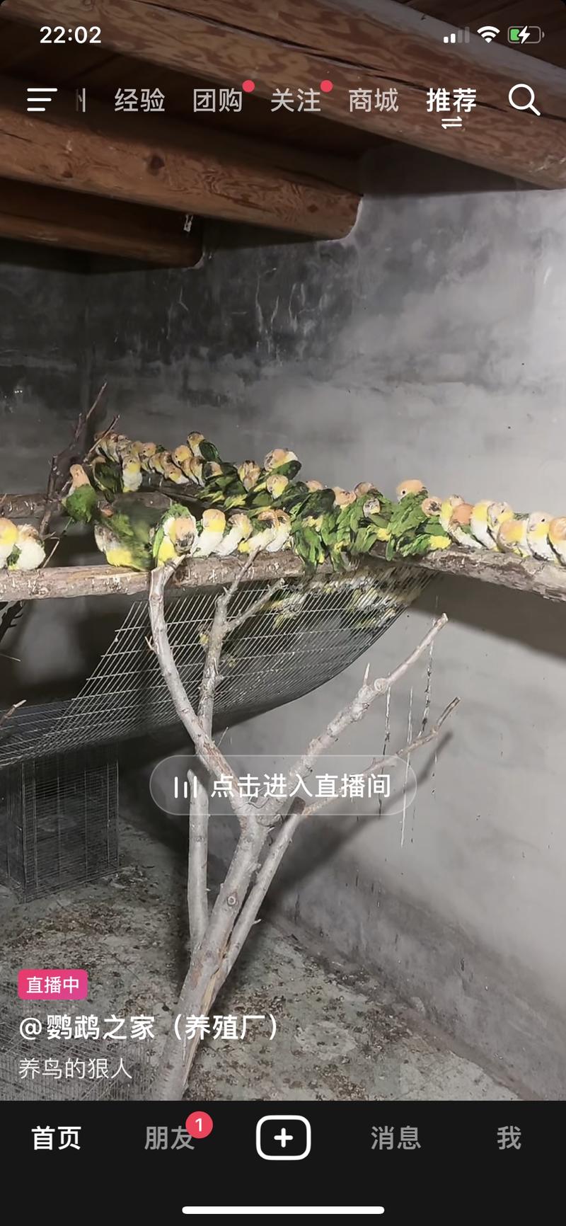 养殖鹦鹉工厂类，热门宠…#情报-搞钱风向标论坛-航海社群内容-航海圈