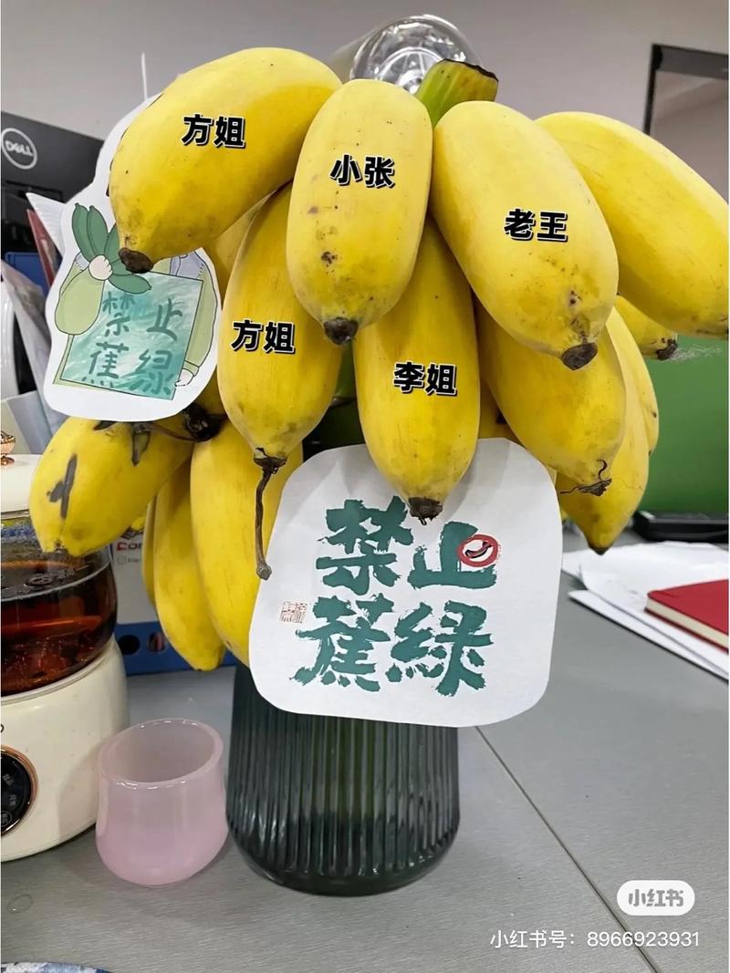 最近水培水果很火，我同…#情报-搞钱风向标论坛-航海社群内容-航海圈