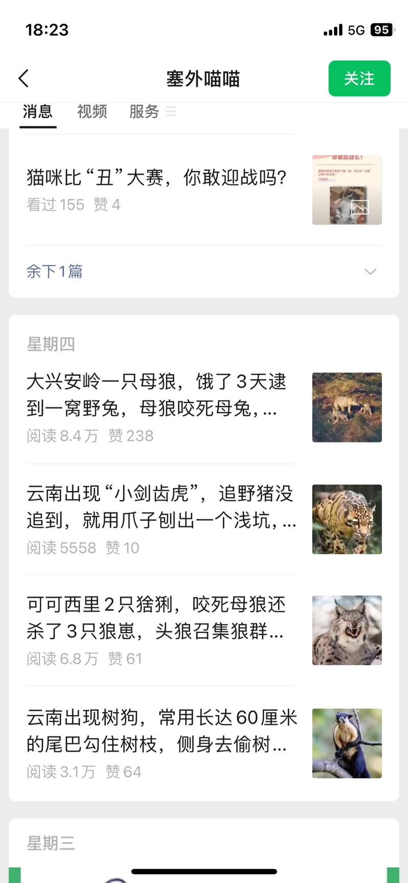 宠物博主转做野生动物故…#情报-航海圈