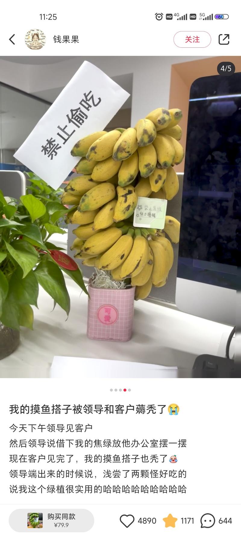 小红书上卖水果盆栽，销量…#情报-航海圈
