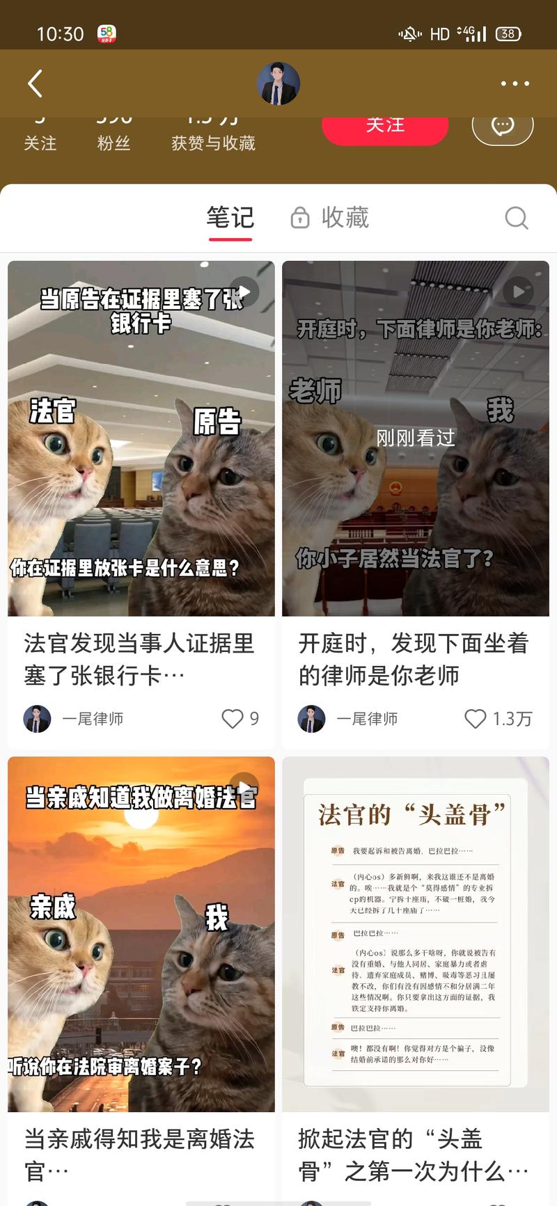 这个两个猫的视频真的很…#情报-航海圈