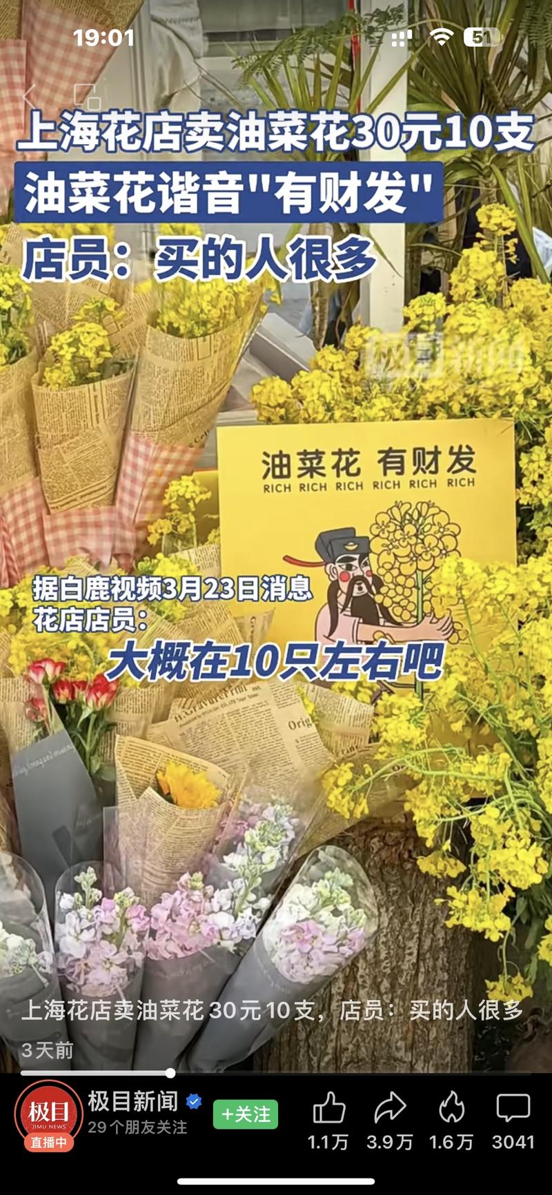 北上广深花店爆卖油菜花…#情报-航海圈