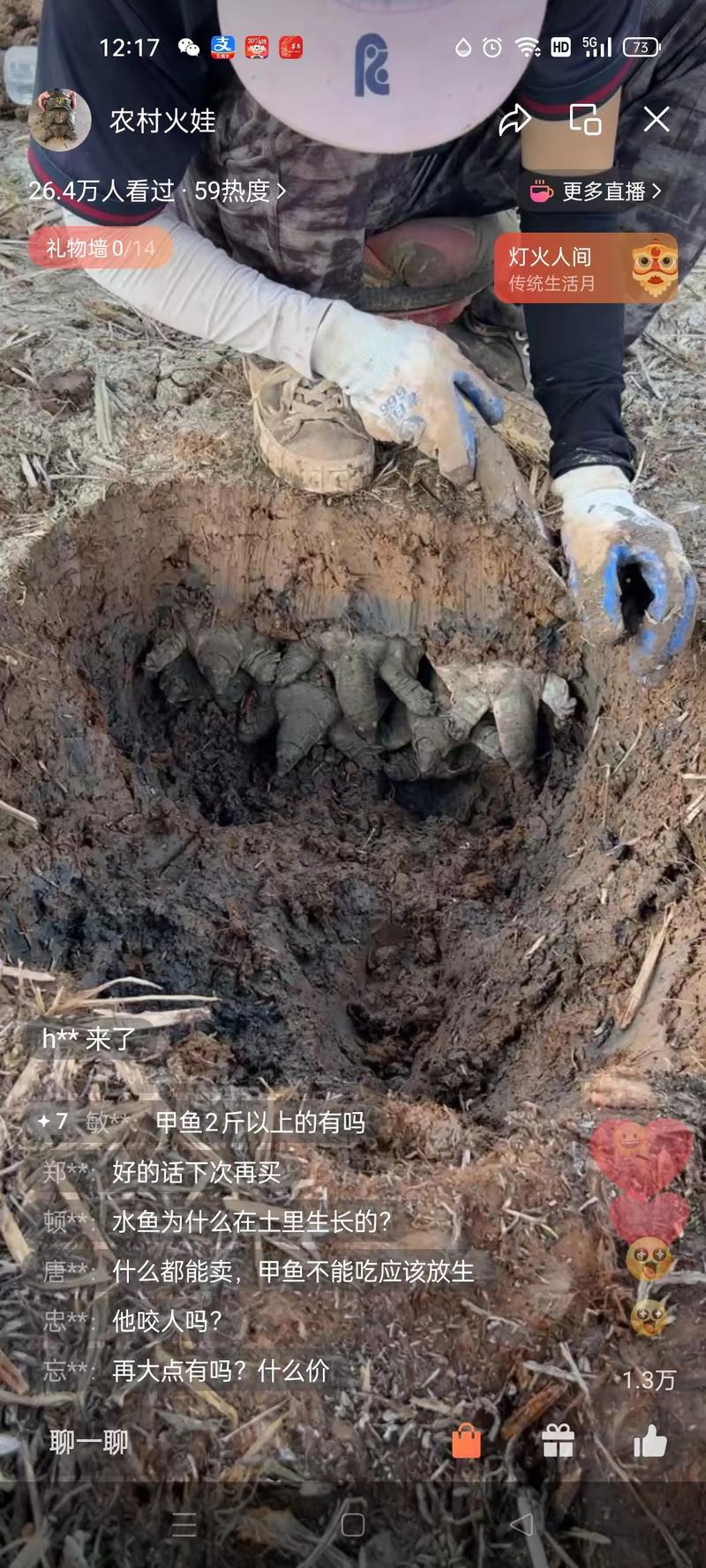 抓鱼的，抓黄鳝的，抓甲鱼的这..情报-搞钱风向标论坛-航海社群内容-航海圈