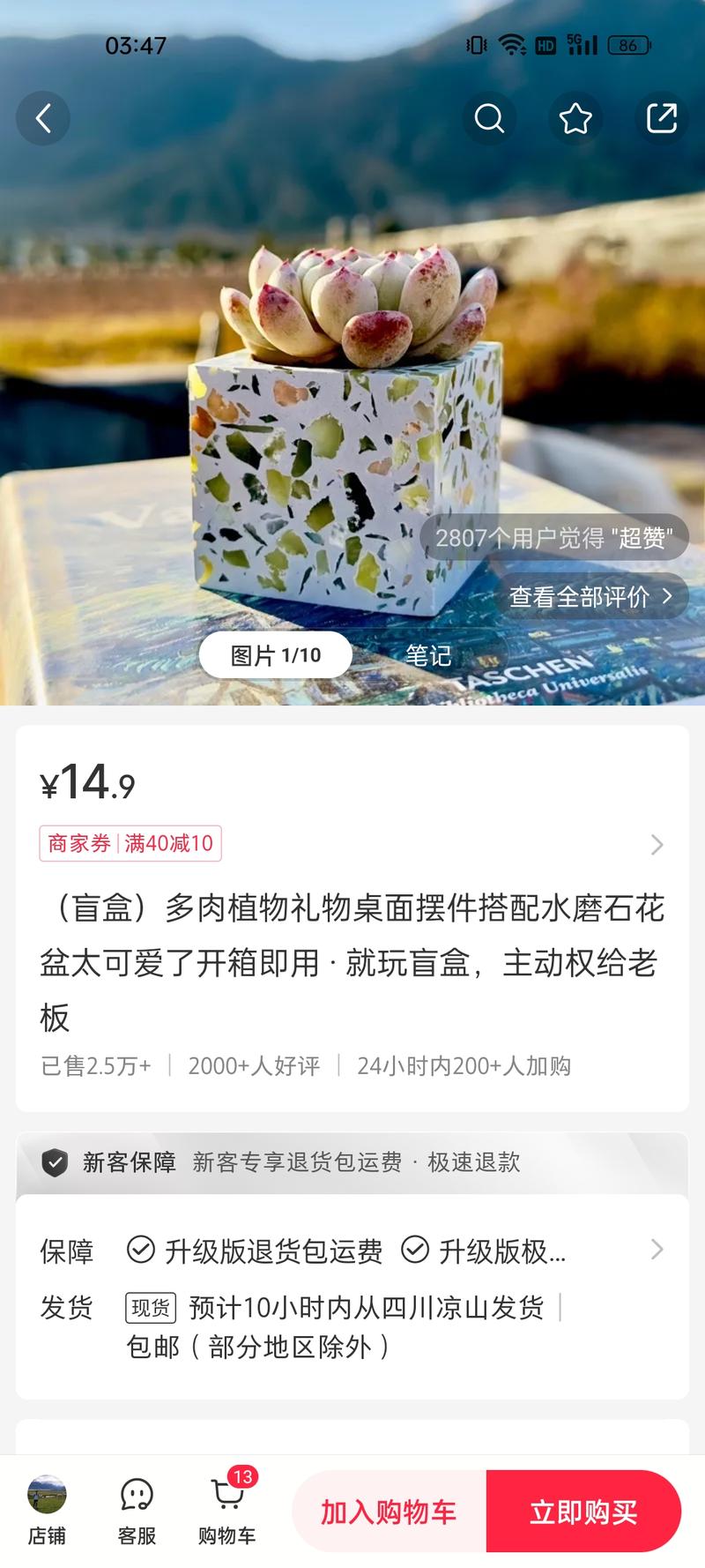 多肉盲盒，多肉+水磨花…#情报-航海圈