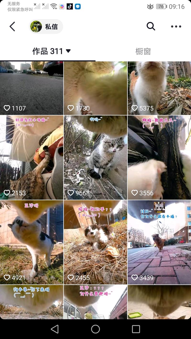 小猫视野角度直播看到一个直播..情报-搞钱风向标论坛-航海社群内容-航海圈
