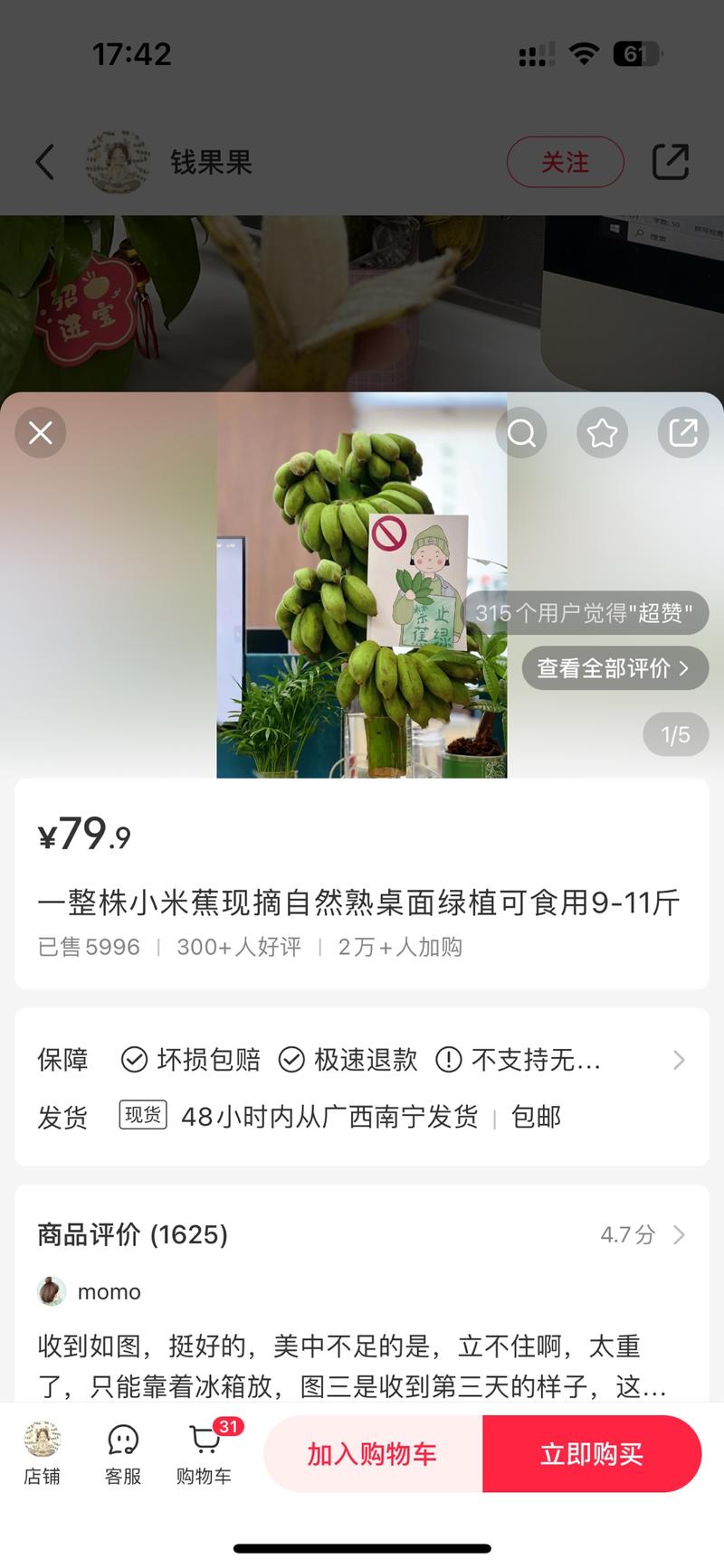 桌面绿植小米蕉，不仅能…#情报-航海圈