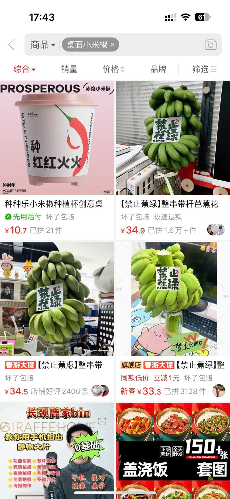 桌面绿植小米蕉，不仅能…#情报-航海圈