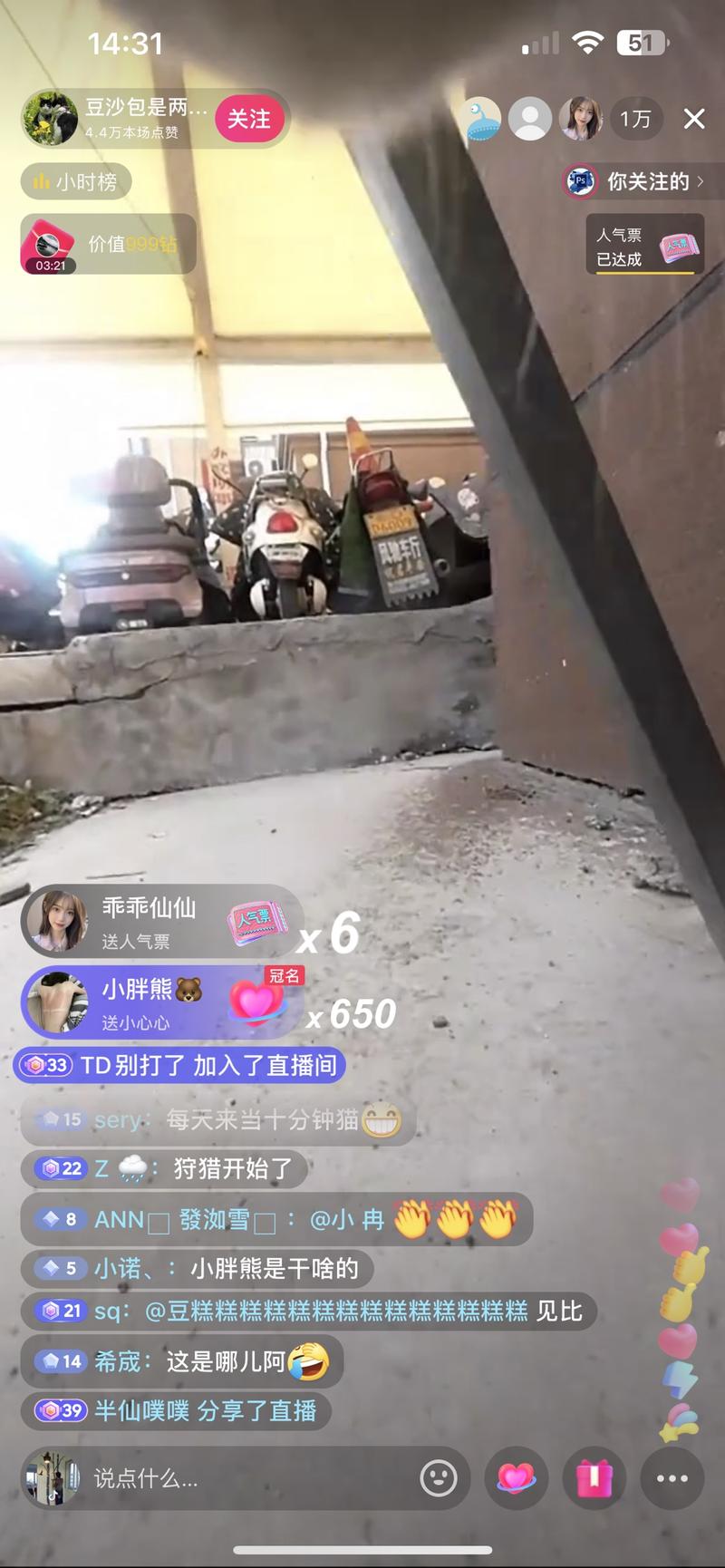 动物的视角直播间，体验…#情报-航海圈