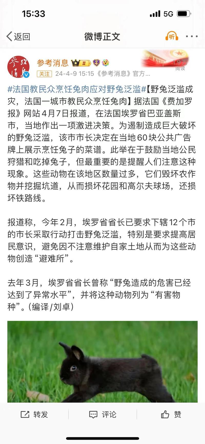 法国野兔泛滥，一城市教…#情报-航海圈