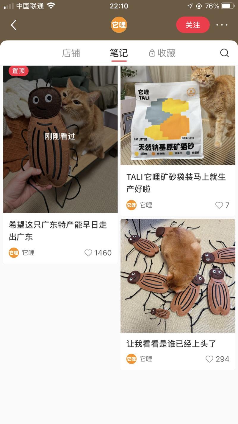 小红书做宠物用品，趣味…#情报-航海圈