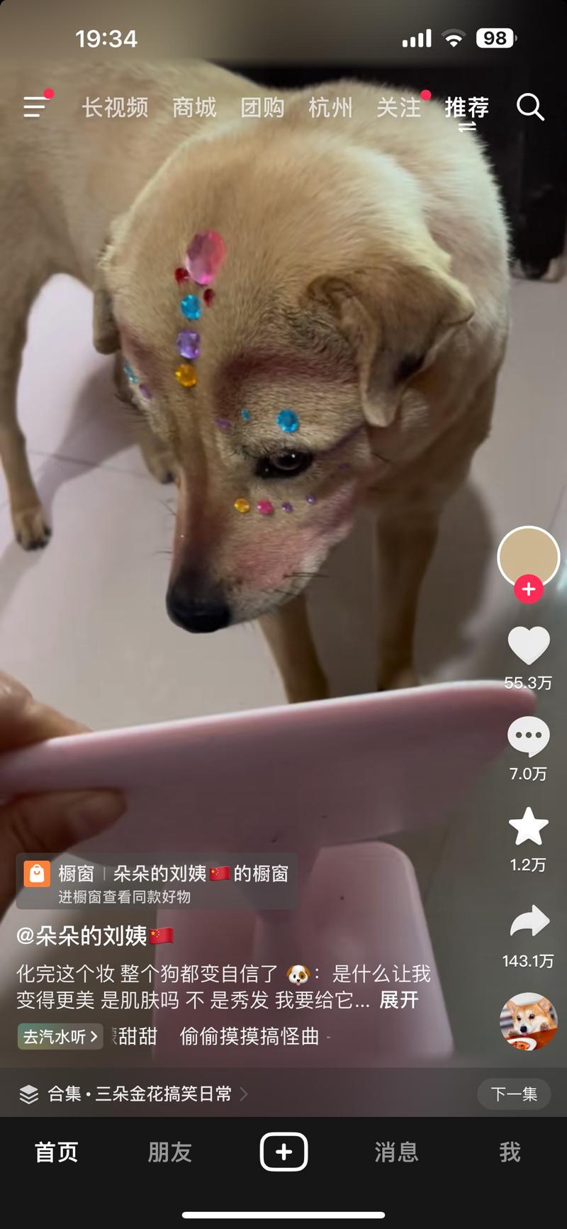 给狗化妆 带货美妆..情报-搞钱风向标论坛-航海社群内容-航海圈