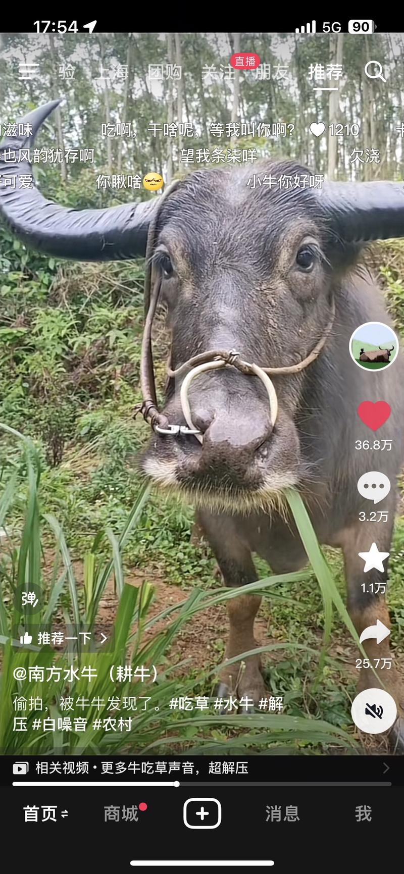 没想到吧，自己的水牛也…#情报-航海圈