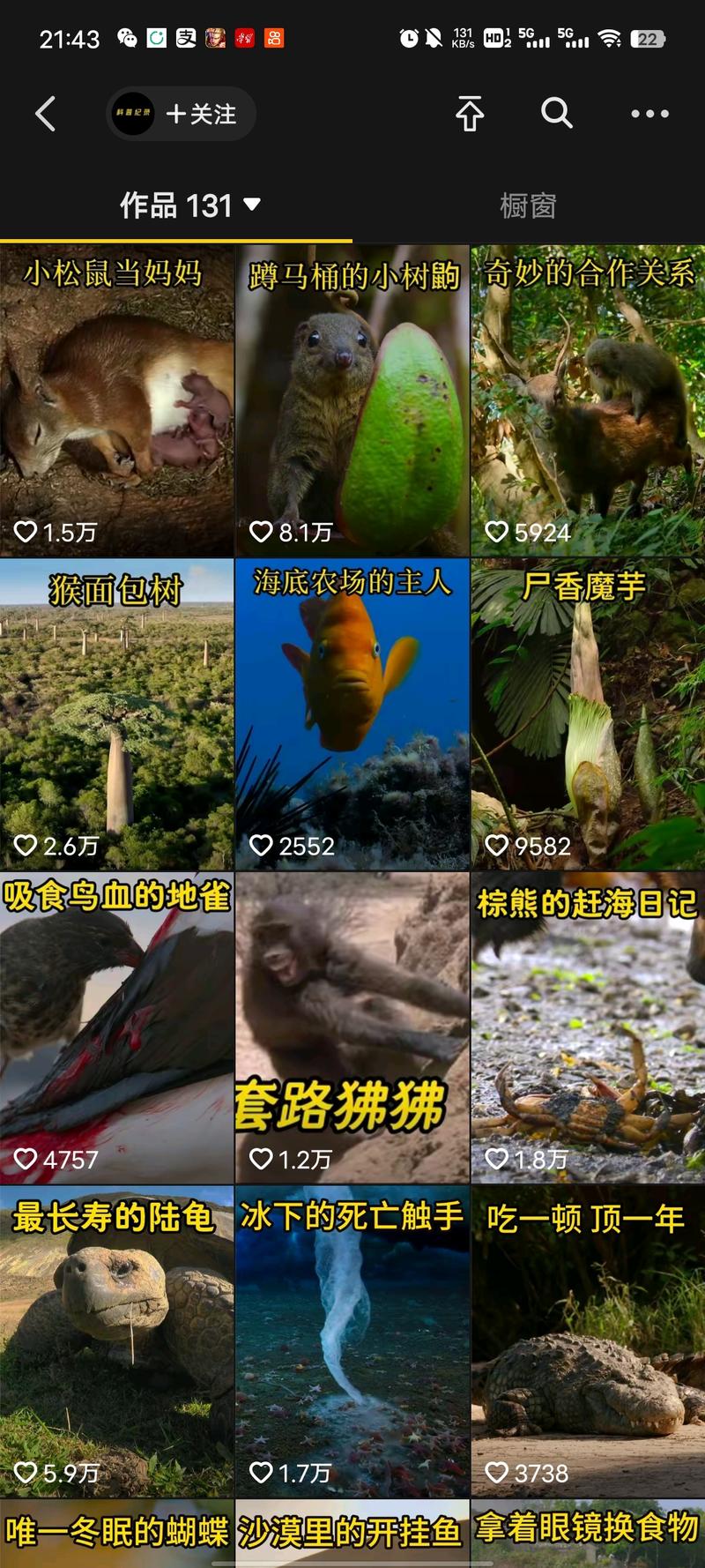 科普类账户的细分领域 …#情报-航海圈