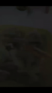 今天教资相关冲到榜3看…#情报-航海圈