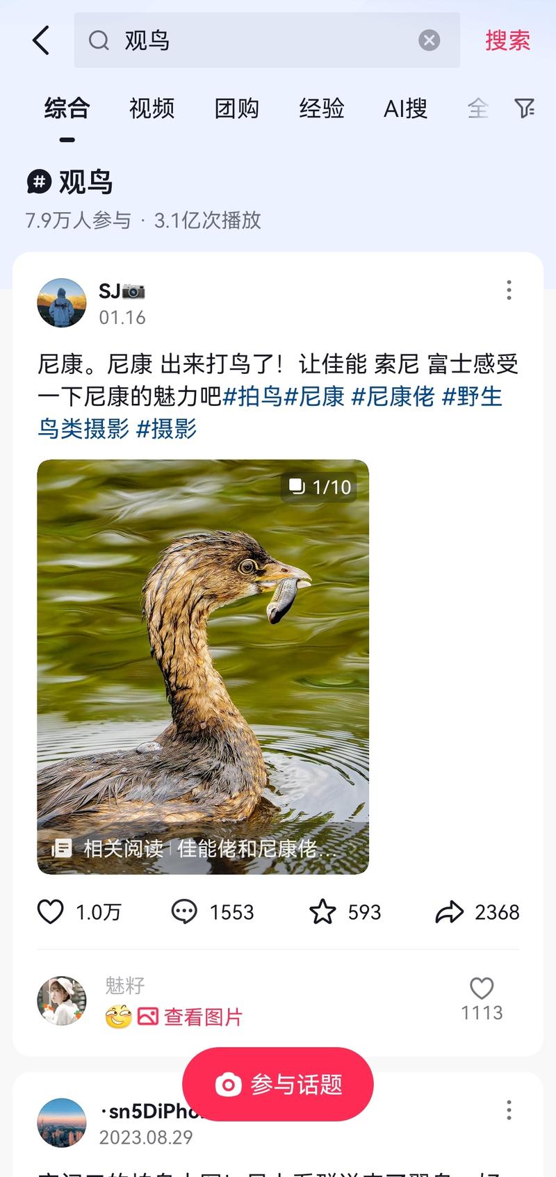 观鸟市场的定制旅游发展…#情报-航海圈