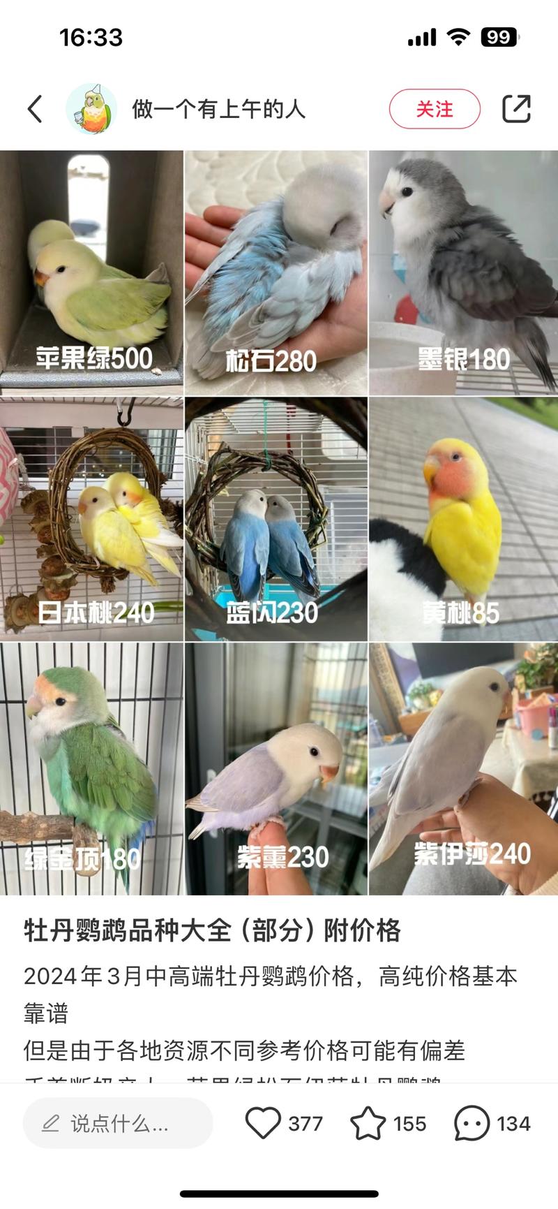 小红书卖鹦鹉，宠物细分…#情报-航海圈