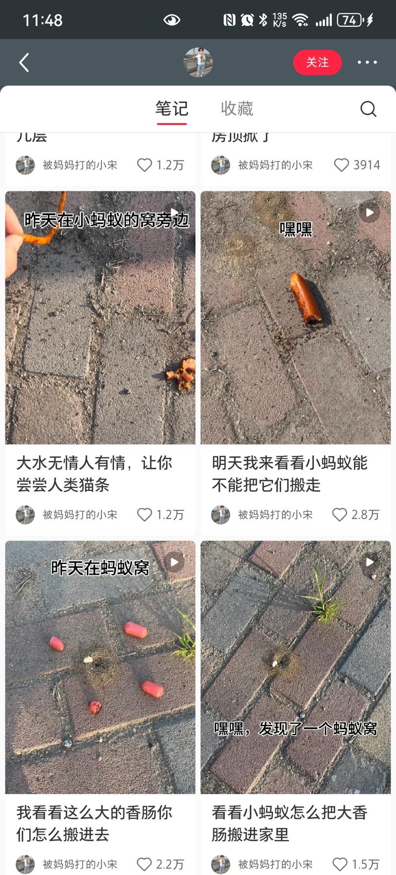 花样整活蚂蚁窝，连续剧联…#情报-航海圈
