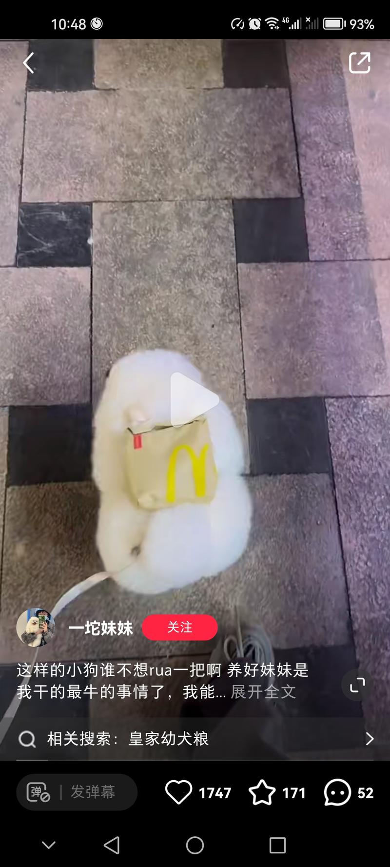 有宠物IP的可以接广后…#情报-航海圈