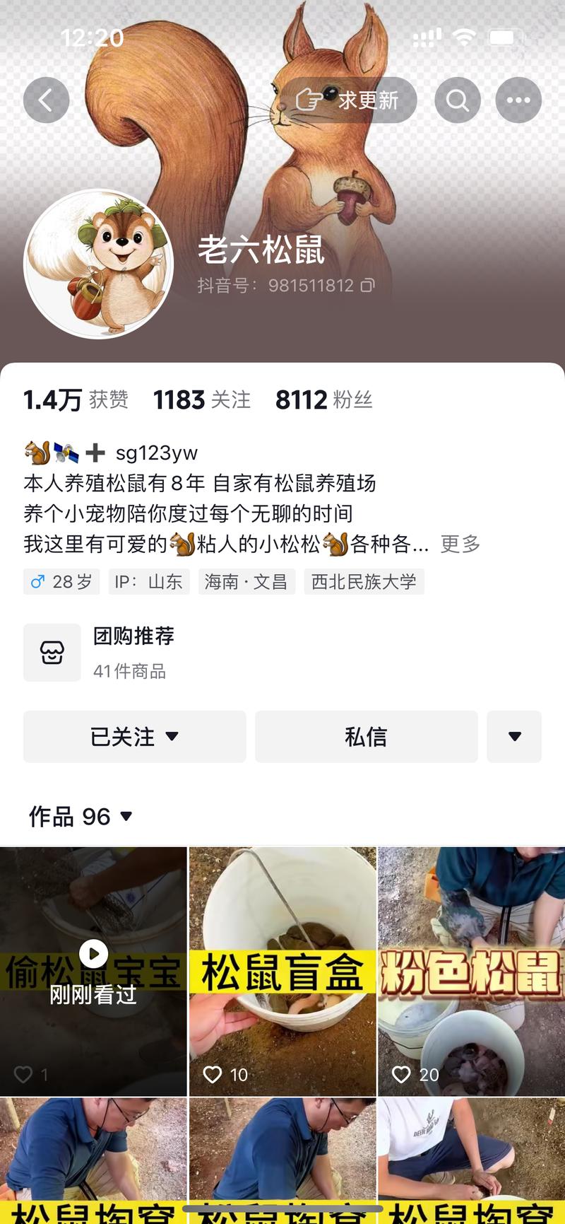 宠物赛道，这个小松鼠挺…#情报-航海圈