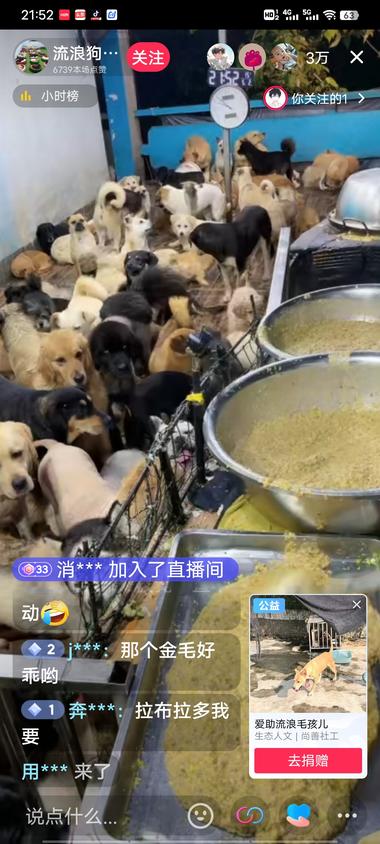 流浪狗直播间流量蛮大，已接受捐赠15….-搞钱风向标论坛-航海社群内容-航海圈
