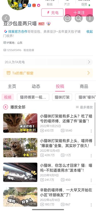 图片[2]-B站账号观察 – “王天霸是只猫” 猫咪第一视….-网创风向标论坛-网络创业-网创圈