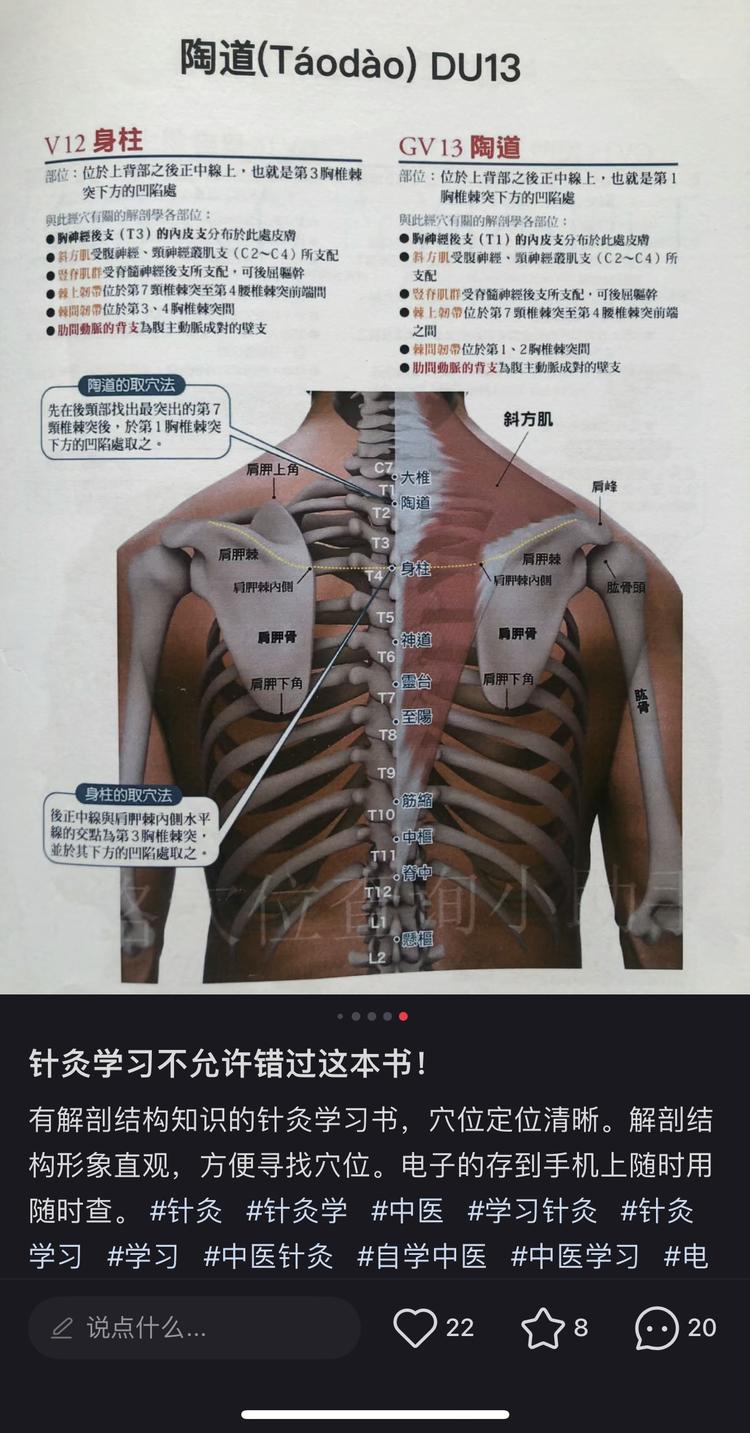 小红书中医/养生群体引流案例：通过实拍….-航海圈