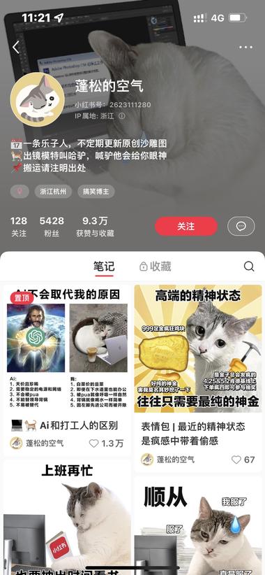 猫猫meme表情包，可以和甄嬛、打工….-航海圈