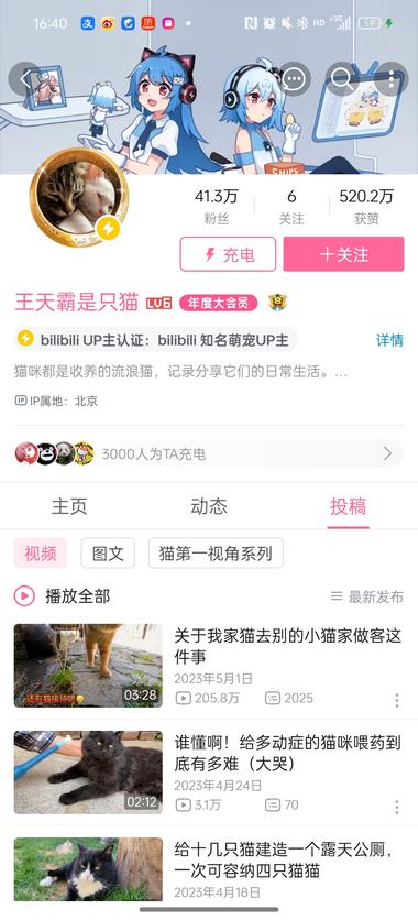 B站账号观察 – “王天霸是只猫” 猫咪第一视….-搞钱风向标论坛-航海社群内容-航海圈