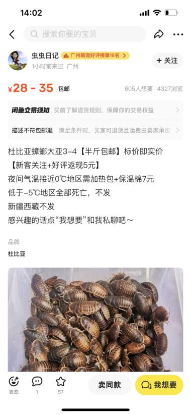 新奇特蓝海市场产品：杜比亚蟑螂爬….-航海圈