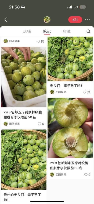 小红书上卖应季水果，4.28号起号，….-航海圈