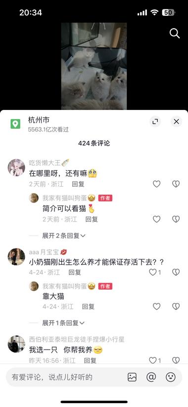 抖音引流，免费送猫引流微信卖猫周边，….-航海圈