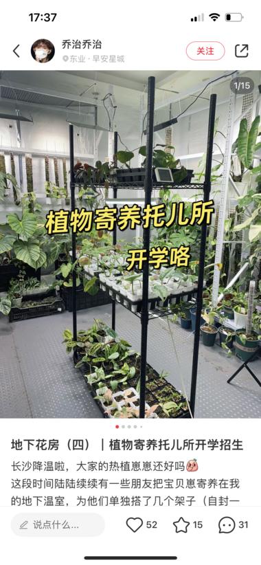 蓝海小众，多肉寄养。 头部玩家年入已….-搞钱风向标论坛-航海社群内容-航海圈