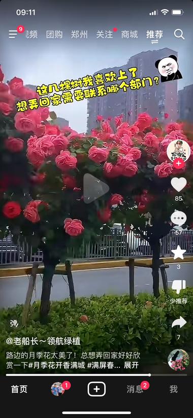 最近路边的花开的比较鲜艳，好多网友表示….-航海圈