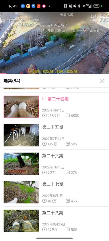 图片[3]-B站账号观察 – “王天霸是只猫” 猫咪第一视….-网创风向标论坛-网络创业-网创圈