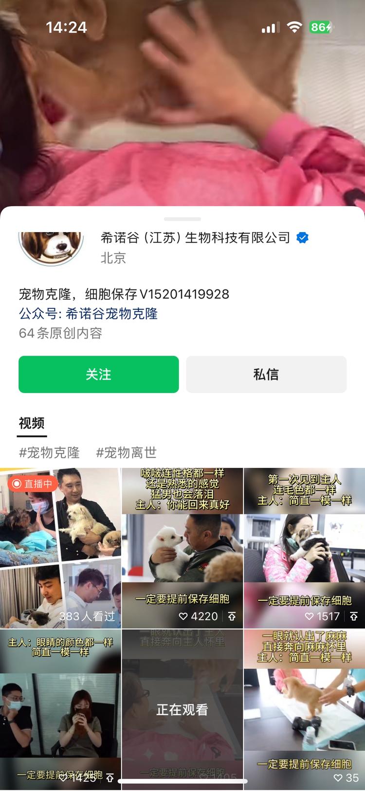 宠物克隆的视频，数据非常好。前些年宠….-搞钱风向标论坛-航海社群内容-航海圈