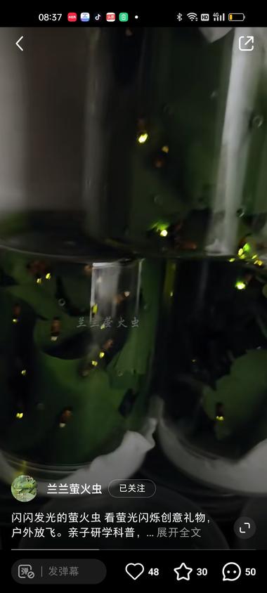 图片[3]-萤火虫养殖通过小红书引流客户。
萤火….-网创风向标论坛-网络创业-网创圈