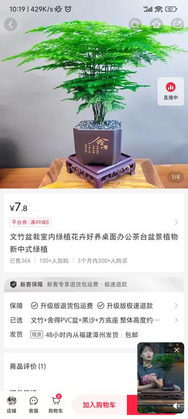 小红书办公室文竹绿植盆栽 这个品类不错 粉丝….-航海圈