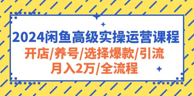 2024闲鱼高级实操运营课程：开店/养号/选择爆款/引流/月入2万/全流程