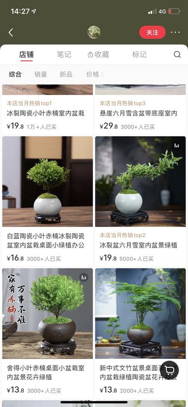 低价懒人盆栽高销售笔记统一是开箱视….-搞钱风向标论坛-航海社群内容-航海圈