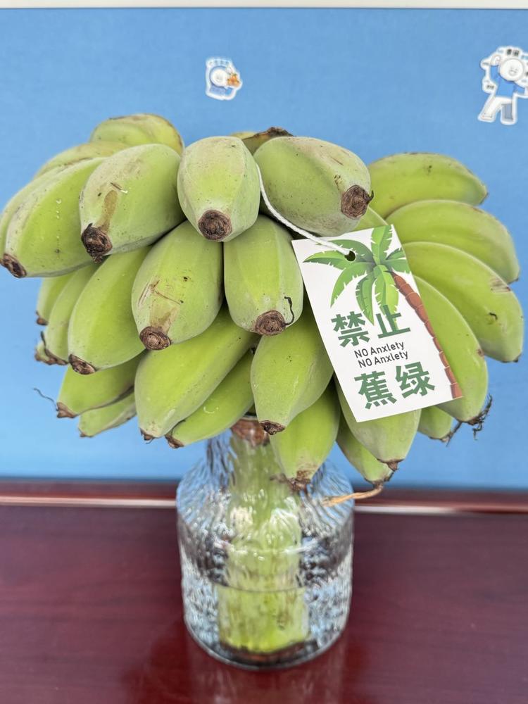 最近绿色香蕉很火，禁止蕉绿（焦虑），….-搞钱风向标论坛-航海社群内容-航海圈