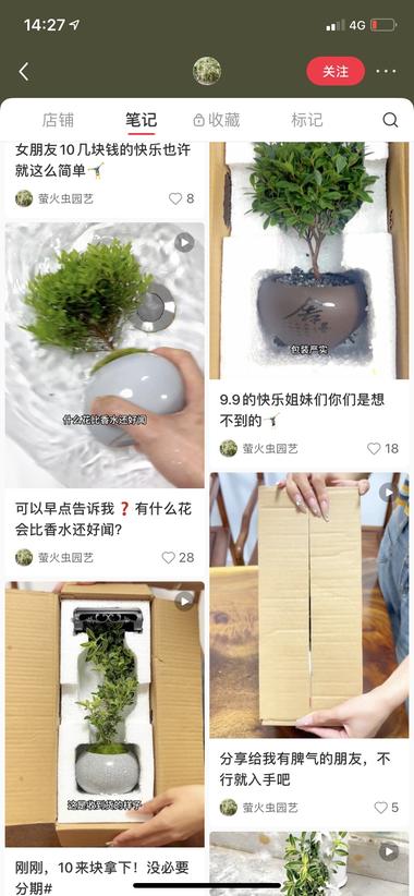 图片[2]-低价懒人盆栽高销售
笔记统一是开箱视….-网创风向标论坛-网络创业-网创圈