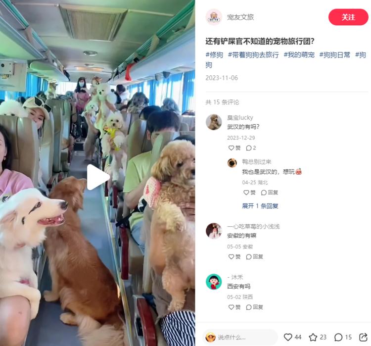 小红书上面，带着宠物去旅行，可以做….-搞钱风向标论坛-航海社群内容-航海圈